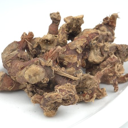 نبات الخولنجان