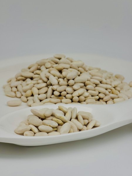فاصولياء