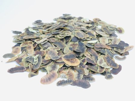 نبات العشرق