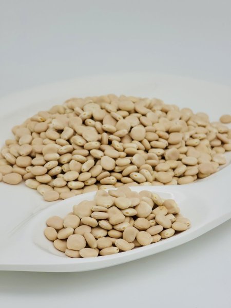 ترمس