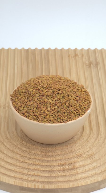 حلبة ذهبية