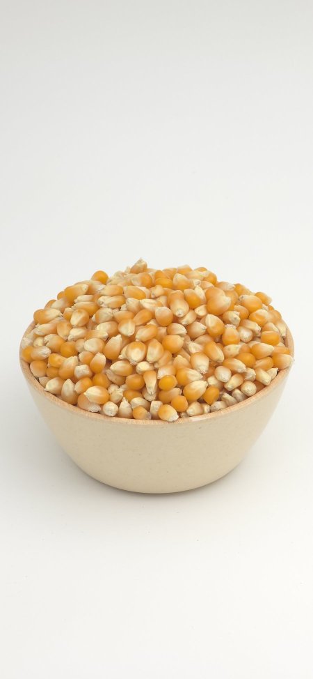 ذرة (فشار)